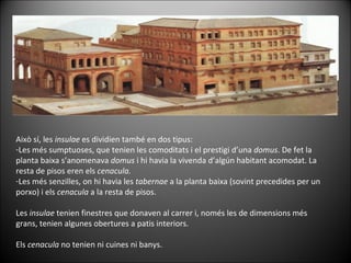 Això sí, les  insulae  es dividien també en dos tipus: Les més sumptuoses, que tenien les comoditats i el prestigi d’una  domus . De fet la planta baixa s’anomenava  domus  i hi havia la vivenda d’algún habitant acomodat. La resta de pisos eren els  cenacula. Les més senzilles, on hi havia les  tabernae  a la planta baixa (sovint precedides per un porxo) i els  cenacula  a la resta de pisos. Les  insulae  tenien finestres que donaven al carrer i, només les de dimensions més grans, tenien algunes obertures a patis interiors.  Els  cenacula  no tenien ni cuines ni banys. 