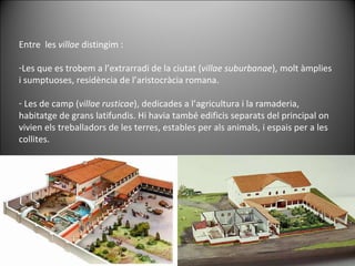 Entre  les  villae  distingim : Les que es trobem a l’extrarradi de la ciutat ( villae suburbanae ), molt àmplies i sumptuoses, residència de l’aristocràcia romana. Les de camp ( villae rusticae ), dedicades a l’agricultura i la ramaderia, habitatge de grans latifundis. Hi havia també edificis separats del principal on vivien els treballadors de les terres, estables per als animals, i espais per a les collites.  