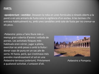 PARTS : apodyterium  : vestidor.  Desaven la roba en unes fornícules o nínxols oberts a la paret o en uns armaris de fusta sota la vigilància d'un esclau. A les termes s’hi entrava habitualment nu, amb unes sandàlies amb sola de fusta per no cremar-se els peus. Palaestra  a Pompeia. Palaestra:  pista a l'aire lliure més o menys gran coberta d'arena i voltada de porxos. Les activitats físiques més habituals eren córrer, jugar a pilota, exercitar-se amb peses o amb la lluita i donar cops de puny en un sac ple de sorra. Hi havia, però, qui s'estimava més prendre mandrosament el sol en una  Palaestra  terrassa ( solarium ). Prèviament a qualsevol activitat, s’untaven d’oli. 