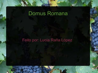 Domus Romana
Feito por: Lucía Raña López
 