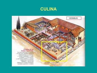 CULINA 