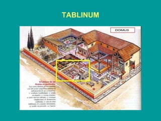 TABLINUM 