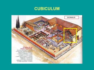 CUBICULUM 