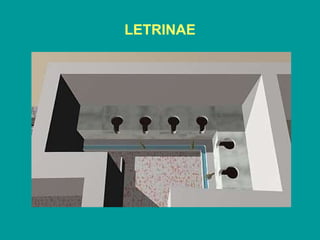 LETRINAE 