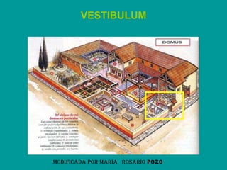 VESTIBULUM Modificada por María  Rosario   Pozo   
