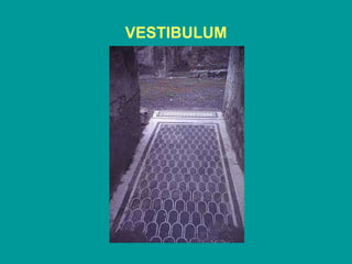 VESTIBULUM 