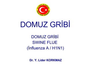 DOMUZ GRİBİ DOMUZ GRİBİ SWINE FLUE (İnfluenza A / H1N1) Dr. Y. Lider KORKMAZ 