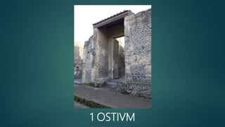 1 OSTIVM
 