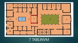7 TABLINVM
 