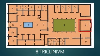 8 TRICLINIVM
 