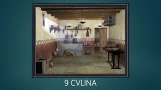 9 CVLINA
 