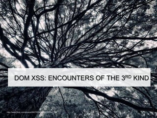 DOM XSS: ENCOUNTERS OF THE 3RD KIND



http://www.flickr.com/photos/8407953@N03/5990642198/
 