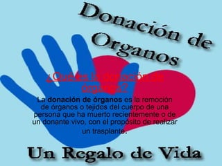 ¿Qué es la donación de órganos? La  donación de órganos  es la remoción de órganos o tejidos del cuerpo de una persona que ha muerto recientemente o de un donante vivo, con el propósito de realizar un trasplante . 