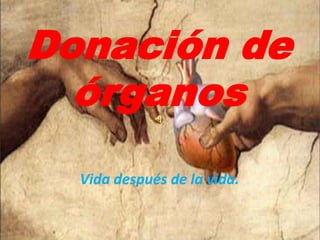 Donación de
  órganos
  Vida después de la vida.
 