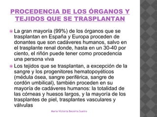 PROCEDENCIA DE LOS ÓRGANOS Y
TEJIDOS QUE SE TRASPLANTAN
 La gran mayoría (99%) de los órganos que se
trasplantan en España y Europa proceden de
donantes que son cadáveres humanos, salvo en
el trasplante renal donde, hasta en un 30-40 por
ciento, el riñón puede tener como procedencia
una persona viva
 Los tejidos que se trasplantan, a excepción de la
sangre y los progenitores hematopoyéticos
(médula ósea, sangre periférica, sangre de
cordón umbilical), también proceden en su
mayoría de cadáveres humanos: la totalidad de
las córneas y huesos largos, y la mayoría de los
trasplantes de piel, trasplantes vasculares y
válvulas
María Victoria Becerra Sueiro
 