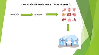 DONACIÓN DE ÓRGANOS Y TRANSPLANTES.
DONACIÓN Extracción
 