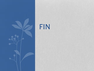FIN
 