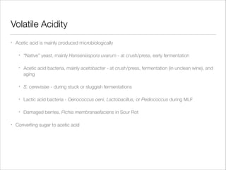 Volatile Acidity
•

Acetic acid is mainly produced microbiologically
•
•

Acetic acid bacteria, mainly acetobacter - at crush/press, fermentation (in unclean wine), and
aging

•

S. cerevisiae - during stuck or sluggish fermentations

•

Lactic acid bacteria - Oenococcus oeni, Lactobacillus, or Pediococcus during MLF

•
•

“Native” yeast, mainly Hanseniaspora uvarum - at crush/press, early fermentation

Damaged berries, Pichia membranaefaciens in Sour Rot

Converting sugar to acetic acid

 