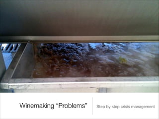 Winemaking “Problems”

Step by step crisis management

 