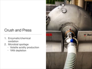 Crush and Press
1. Enzymatic/chemical
oxidation

2. Microbial spoilage

• Volatile acidity production

• YAN depletion

 
