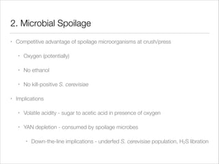 2. Microbial Spoilage
•

Competitive advantage of spoilage microorganisms at crush/press
•
•

No ethanol

•
•

Oxygen (potentially)

No kill-positive S. cerevisiae

Implications
•

Volatile acidity - sugar to acetic acid in presence of oxygen

•

YAN depletion - consumed by spoilage microbes
•

Down-the-line implications - underfed S. cerevisiae population, H2S libration

 