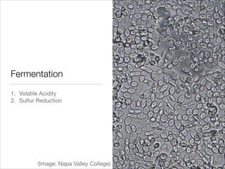 Fermentation
1. Volatile Acidity

2. Sulfur Reduction

(Image: Napa Valley College)

 