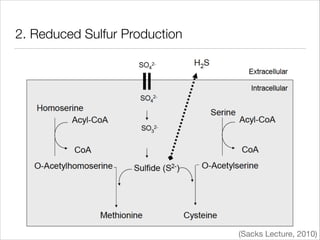 2. Reduced Sulfur Production

(Sacks Lecture, 2010)

 