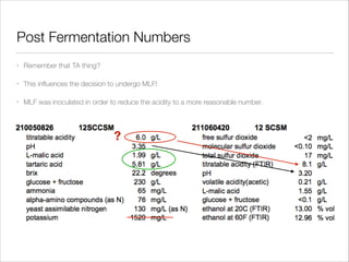 Post Fermentation Numbers
•

Remember that TA thing?

•

This inﬂuences the decision to undergo MLF!

•

MLF was inoculated in order to reduce the acidity to a more reasonable number.

?

 