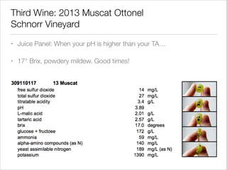 Third Wine: 2013 Muscat Ottonel
Schnorr Vineyard
•

Juice Panel: When your pH is higher than your TA…

•

17° Brix, powdery mildew. Good times!

 
