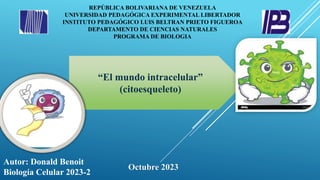 Autor: Donald Benoit
Biología Celular 2023-2
“El mundo intracelular”
(citoesqueleto)
REPÚBLICA BOLIVARIANA DE VENEZUELA
UNIVERSIDAD PEDAGÓGICA EXPERIMENTAL LIBERTADOR
INSTITUTO PEDAGÓGICO LUIS BELTRAN PRIETO FIGUEROA
DEPARTAMENTO DE CIENCIAS NATURALES
PROGRAMA DE BIOLOGIA
Octubre 2023
 