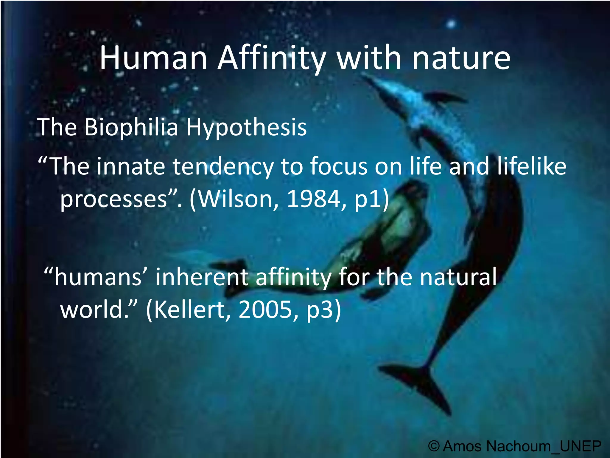 Human Affinity with natureThe Biophilia Hypothesis“The innate tendency to focus on life and lifelike processes”. (Wilson, 1984, p1)  “humans’ inherent affinity for the natural world.” (Kellert, 2005, p3)© Amos Nachoum_UNEP