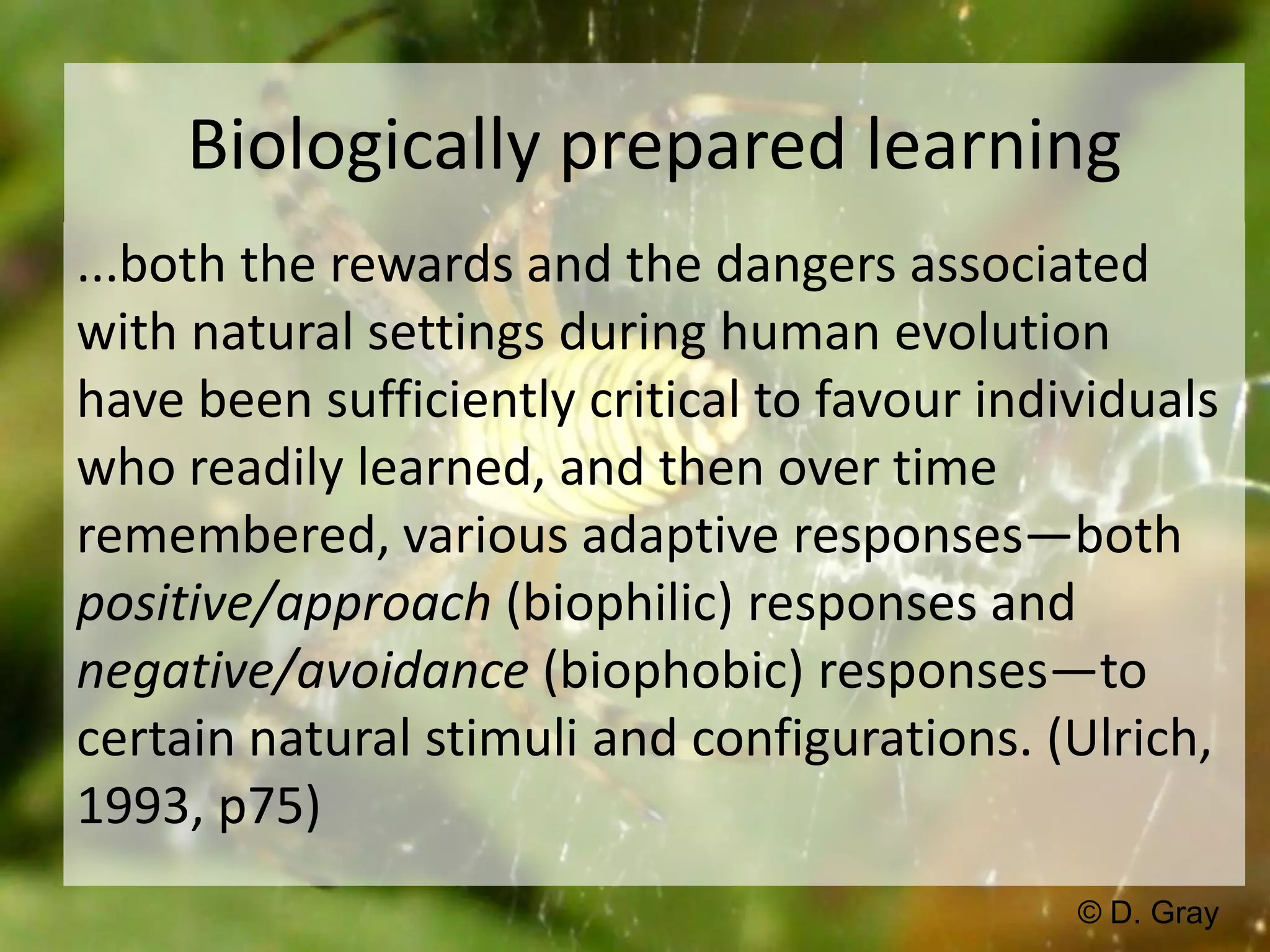Biologically prepared learning...both the rewards and the dangers associated with natural settings during human evolution have been sufficiently critical to favour individuals who readily learned, and then over time remembered, various adaptive responses—both positive/approach (biophilic) responses and negative/avoidance (biophobic) responses—to certain natural stimuli and configurations. (Ulrich, 1993, p75)© D. Gray