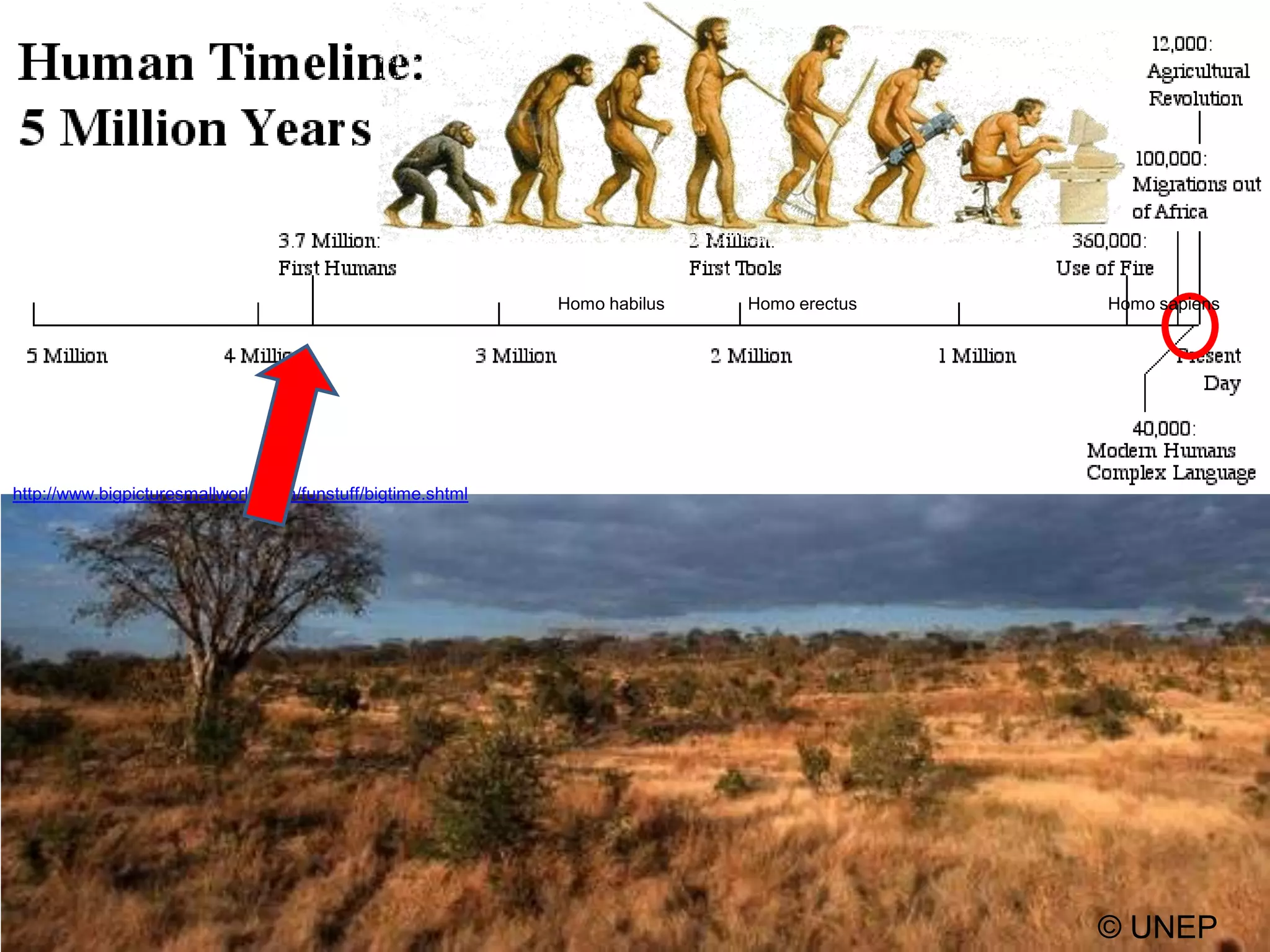 Homo habilusHomo erectus Homo sapienshttp://www.bigpicturesmallworld.com/funstuff/bigtime.shtml© UNEP