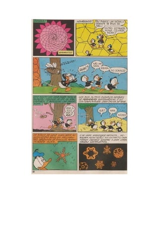 Donald na matemagicalândia