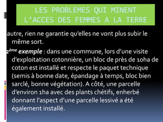 LES PROBLEMES QUI MINENT
L’ACCES DES FEMMES A LA TERRE
autre, rien ne garantie qu’elles ne vont plus subir le
même sort.
2ème exemple : dans une commune, lors d’une visite
d’exploitation cotonnière, un bloc de près de 10ha de
coton est installé et respecte le paquet technique
(semis à bonne date, épandage à temps, bloc bien
sarclé, bonne végétation). A côté, une parcelle
d’environ 1ha avec des plants chétifs, enherbé
donnant l’aspect d’une parcelle lessivé a été
également installé.

 