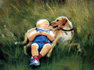 Donald Zolan: What A Wonderful World.pps