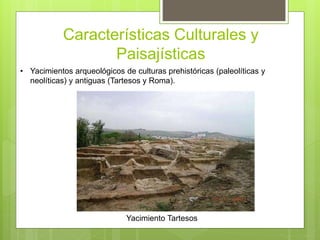 Características Culturales y
Paisajísticas
• Yacimientos arqueológicos de culturas prehistóricas (paleolíticas y
neolíticas) y antiguas (Tartesos y Roma).
Yacimiento Tartesos
 