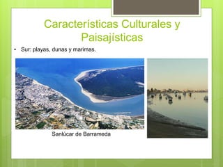 Características Culturales y
Paisajísticas
• Sur: playas, dunas y marimas.
Sanlúcar de Barrameda
 