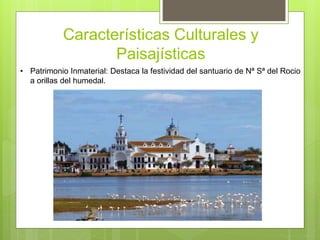 Características Culturales y
Paisajísticas
• Patrimonio Inmaterial: Destaca la festividad del santuario de Nª Sª del Rocio
a orillas del humedal.
 