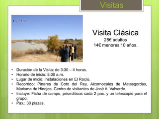 Visitas
• Duración de la Visita: de 3:30 – 4 horas.
• Horario de inicio: 8:00 a.m.
• Lugar de inicio: Instalaciones en El Rocío.
• Recorrido: Pinares de Coto del Rey, Alcornocales de Matasgordas,
Marisma de Hinojos, Centro de visitantes de José A. Valverde.
• Incluye: Ficha de campo, prismáticos cada 2 pax. y un telescopio para el
grupo.
• Pax.: 30 plazas.
Visita Clásica
28€ adultos
14€ menores 10 años.
 