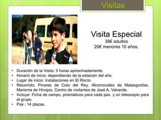 Visitas
• Duración de la Visita: 5 horas aproximadamente.
• Horario de inicio: dependiendo de la estación del año.
• Lugar de inicio: Instalaciones en El Rocío.
• Recorrido: Pinares de Coto del Rey, Alcornocales de Matasgordas,
Marisma de Hinojos, Centro de visitantes de José A. Valverde.
• Incluye: Ficha de campo, prismáticos para cada pax. y un telescopio para
el grupo.
• Pax.: 14 plazas.
Visita Especial
38€ adultos
20€ menores 10 años.
 