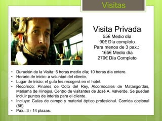 Visitas
• Duración de la Visita: 5 horas medio día; 10 horas día entero.
• Horario de inicio: a voluntad del cliente.
• Lugar de inicio: el guía les recogerá en el hotel.
• Recorrido: Pinares de Coto del Rey, Alcornocales de Matasgordas,
Marisma de Hinojos, Centro de visitantes de José A. Valverde. Se pueden
incluir puntos de interés para el cliente.
• Incluye: Guías de campo y material óptico profesional. Comida opcional
(8€)
• Pax.: 3 - 14 plazas.
Visita Privada
55€ Medio día
90€ Día completo
Para menos de 3 pax.:
165€ Medio día
270€ Día Completo
 