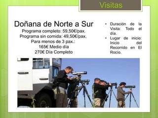 Visitas
Doñana de Norte a Sur
Programa completo: 59,50€/pax.
Programa sin comida: 49,50€/pax.
Para menos de 3 pax.:
165€ Medio día
270€ Día Completo
• Duración de la
Visita: Todo el
día.
• Lugar de inicio:
Inicio del
Recorrido en El
Rocío.
 