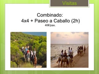 Visitas
Combinado:
4x4 + Paseo a Caballo (2h)
40€/pax.
 