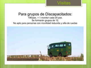 Visitas
Para grupos de Discapacitados:
15€/pax. + 1 monitor cada 20 pax.
Se formarán grupos de 12.
No apto para personas con movilidad reducida y silla de ruedas
 