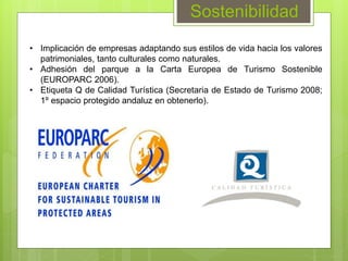Sostenibilidad
• Implicación de empresas adaptando sus estilos de vida hacia los valores
patrimoniales, tanto culturales como naturales.
• Adhesión del parque a la Carta Europea de Turismo Sostenible
(EUROPARC 2006).
• Etiqueta Q de Calidad Turística (Secretaria de Estado de Turismo 2008;
1º espacio protegido andaluz en obtenerlo).
 