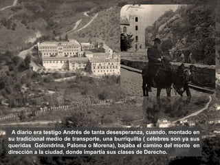 A diario era testigo Andrés de tanta desesperanza, cuando, montado en
su tradicional medio de transporte, una burriquilla ( célebres son ya sus
queridas Golondrina, Paloma o Morena), bajaba el camino del monte en
dirección a la ciudad, donde impartía sus clases de Derecho.
 