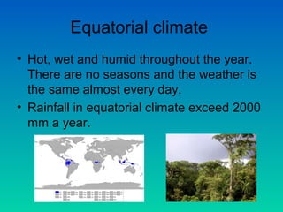 Equatorial climate
• Hot, wet and humid throughout the year.
There are no seasons and the weather is
the same almost every day.
• Rainfall in equatorial climate exceed 2000
mm a year.

 