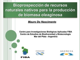 Mauro Do Nascimento   Centro para Investigaciones  Biológicas  Aplicadas FIBA Centro de Estudios de Biodiversidad y Biotecnología  Mar del Plata - Argentina 