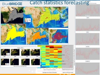 Catch statistics forecasting
 